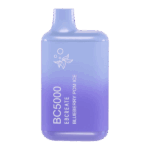 5% 엘프바 BC5000 블루베리 폼 아이스 구매
