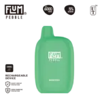 Flum Pebble 6000 Menthol 50mg disposable vape 5% salt nicotine
